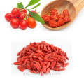 Wholesale Dried Wild Goji Berry Ningxia bulk